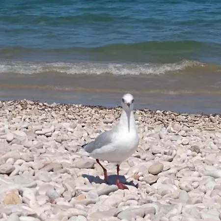 Pescara Al Golf - Jack Nicklaus *